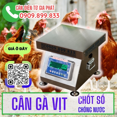 CÂN ĐIỆN TỬ CÂN GÀ VỊT