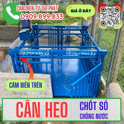 CÂN ĐIỆN TỬ CÂN HEO LỢN