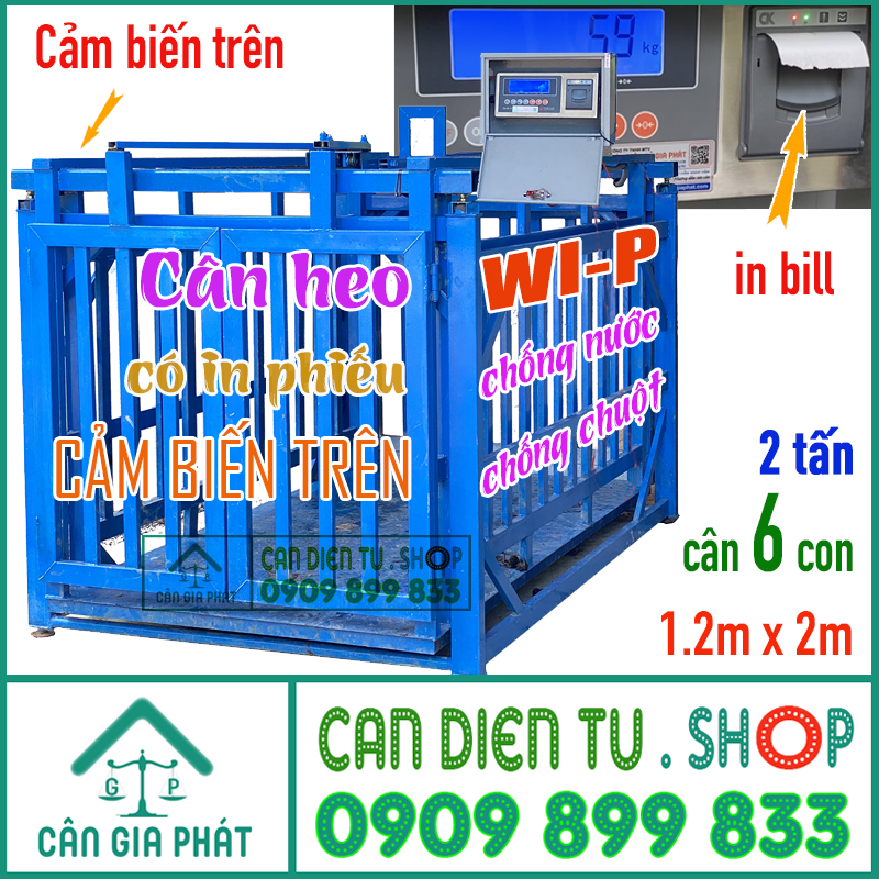 can-dien-tu-can-heo-td-wi-p-in-bill-2-tan-can-6-con-800-h1.jpg