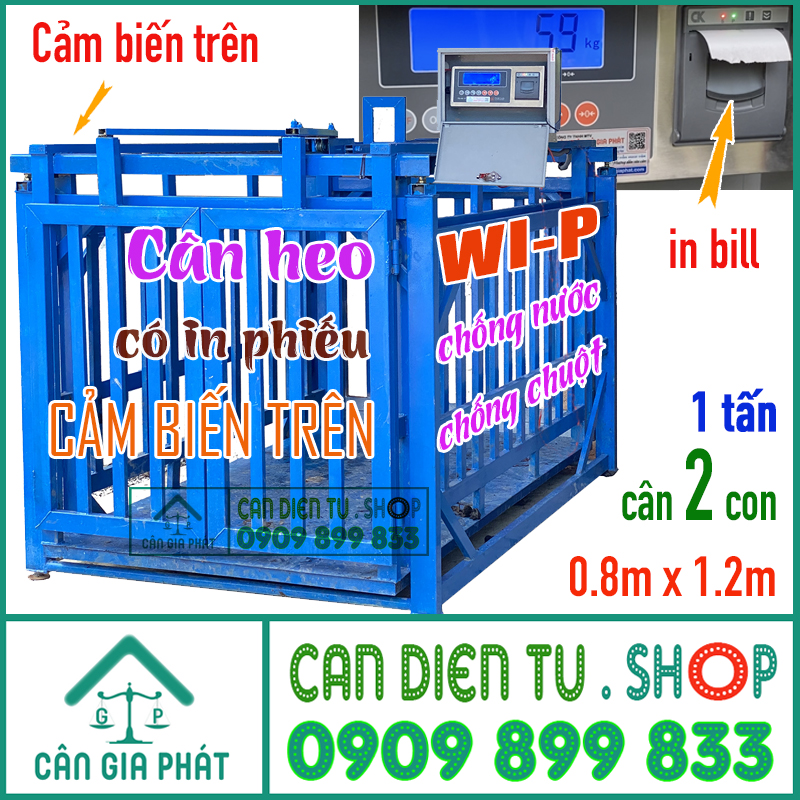 can-dien-tu-can-heo-td-wi-p-in-bill-1-tan-can-2-con-800-h1.jpg