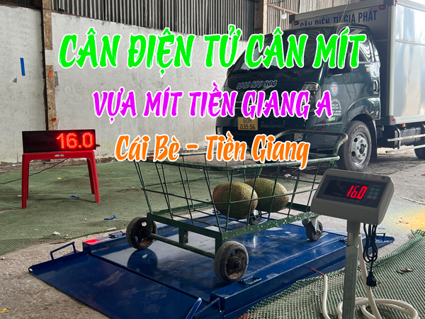 Cân điện tử cân mít XK3190-T7E 1 tấn ở Vựa Mít Tiền Giang A ở Cái Bè Tiền Giang