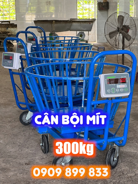 Cân điện tử cân bội mít 150kg 300kg - Vựa Mít Tấn Lợi ở Tiền Giang