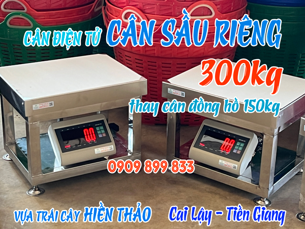 Cân điện tử inox XK3190-T7E 300kg cân sầu riêng Vựa trái cây Hiền Thảo ở Cai Lậy Tiền Giang