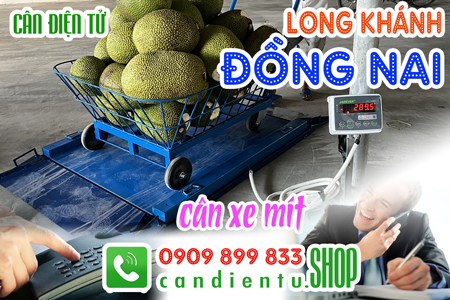 Cân điện tử ở Long Khánh Đồng Nai 300kg 500kg 1 tấn cân xe mít