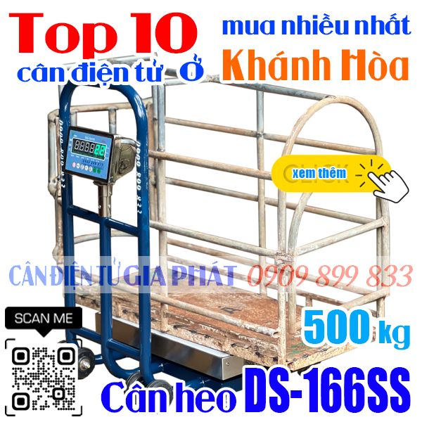 Cân điện tử ở Khánh Hòa mua nhiều nhất - cân heo DS-166SS 500kg