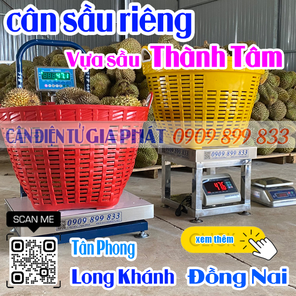 Cân điện tử cân sầu riêng ở Long Khánh Đồng Nai - vựa sầu riêng Thành Tâm ở Tân Phong