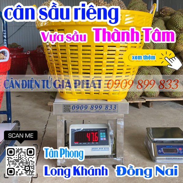 Cân điện tử cân sầu riêng ở Long Khánh Đồng Nai - vựa trái cây Thành Tâm