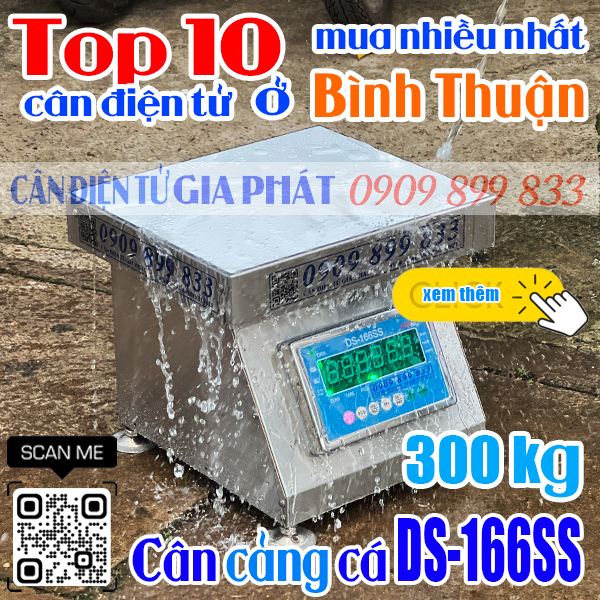 Cân điện tử ở Bình Thuận mua nhiều nhất - cân inox chống nước DS-166SS 300kg