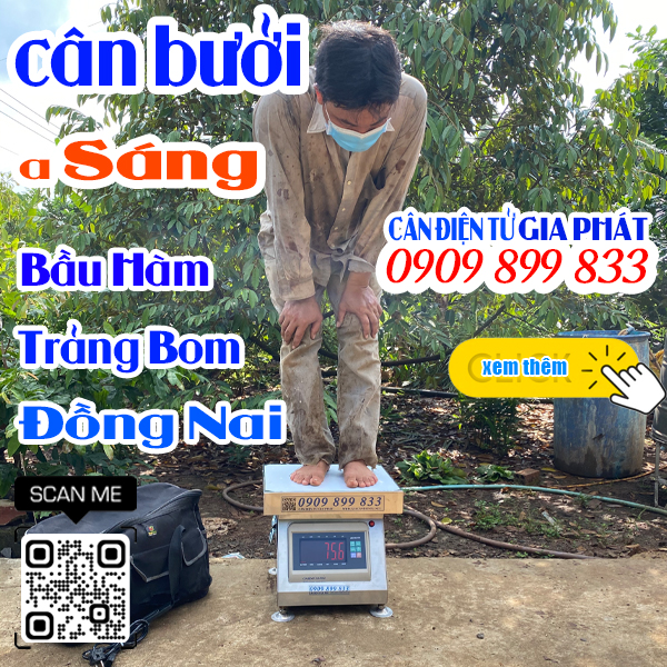 Cân điện tử cân bưởi 300kg giao anh Sáng ở Trảng Bom Đồng Nai