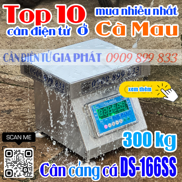 Cân điện tử ở Cà Mau mua nhiều nhất - cân inox chống nước DS-166SS 300kg
