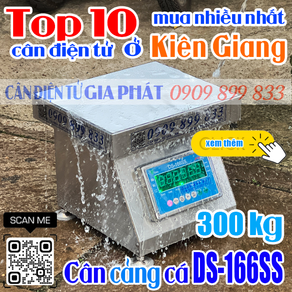Cân điện tử ở Kiên Giang mua nhiều nhất - cân inox chống nước DS-166SS 300kg