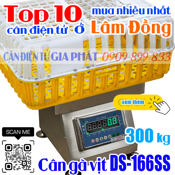 Cân điện tử ở Lâm Đồng mua nhiều nhất - cân gà vịt DS-166SS 300kg