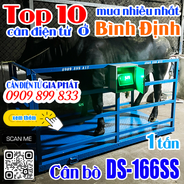 Cân điện tử ở Bình Định mua nhiều nhất - cân bò DS-166SS 1 tấn 2 tấn