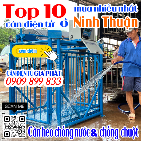 Cân điện tử ở Ninh Thuận mua nhiều nhất - cân heo DS-166SS 500kg