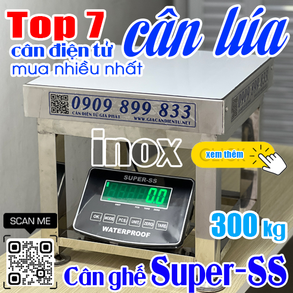 Cân điện tử cân lúa 100kg 200kg 300kg inox giá rẻ nhất ở Long An