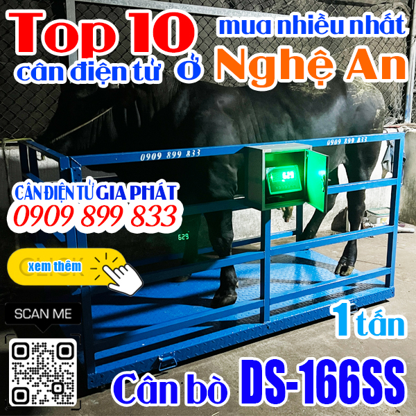 Cân điện tử ở Nghệ An mua nhiều nhất - cân bò DS-166SS 1 tấn 2 tấn