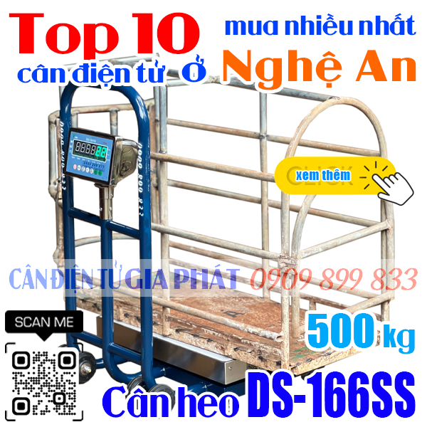 Cân điện tử ở Nghệ An mua nhiều nhất - cân heo DS-166SS 500kg
