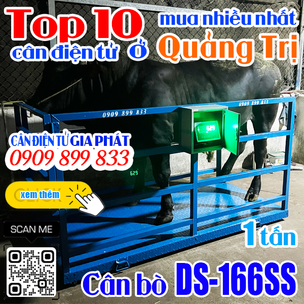Cân điện tử ở Quảng Trị mua nhiều nhất - cân bò DS-166SS 1 tấn 2 tấn