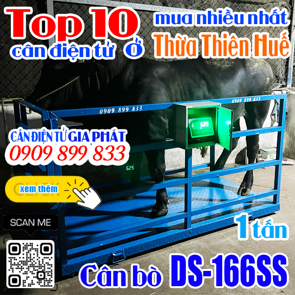 Cân điện tử ở Huế mua nhiều nhất - cân bò DS-166SS 1 tấn 2 tấn