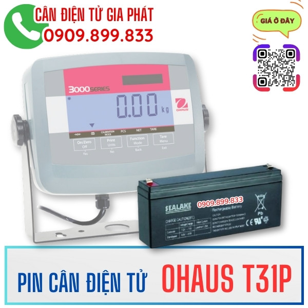 Pin-can-dien-tu-ohaus-t31p-30kg-60kg-150kg-300kg-500kg-1.jpg