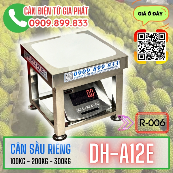 Can-sau-rieng-dh-a12e-150kg-200kg-300kg-inox-chong-nuoc-3.jpg