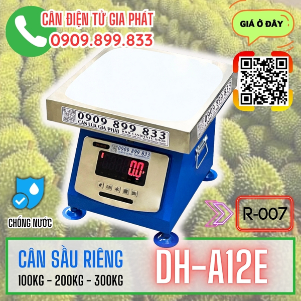 Can-sau-rieng-dh-a12e-150kg-200kg-300kg-inox-chong-nuoc-4.jpg