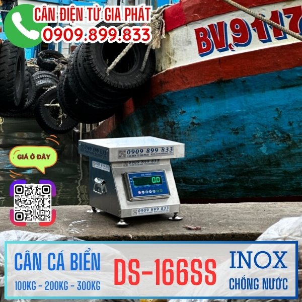 Can-dien-tu-100kg-200kg-300kg-can-ca-bien-DS-166SS-inox-chong-nuoc-4-4.jpg