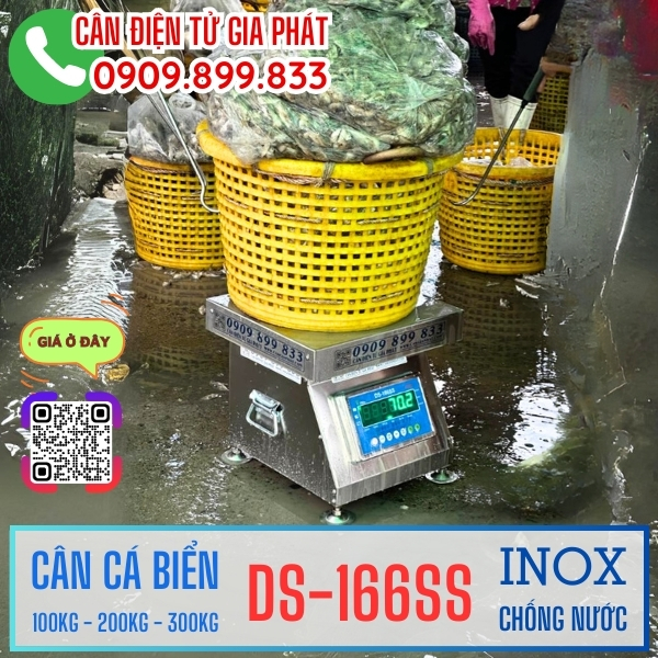 Can-dien-tu-DS-166SS-inox-chong-nuoc-can-ca-bien-100kg-200kg-300kg-2-2.jpg